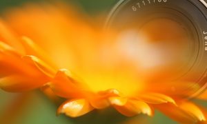 cropped Titelbild 2