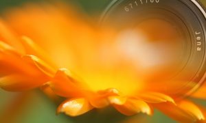 cropped Titelbild 3