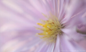 Bild10