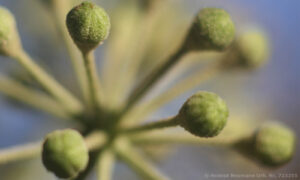 Bild13
