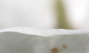 Bild14