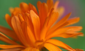 Bild2