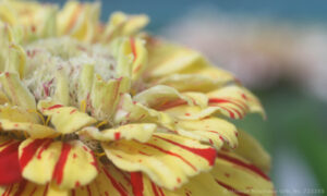 Bild3