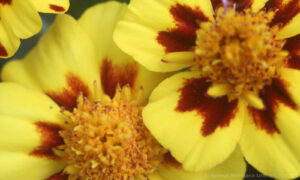Bild7