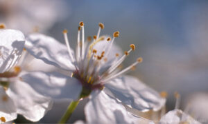Bild9