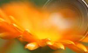 cropped Titelbild 3 scaled 1