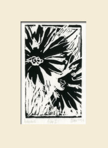 S/W Linoldruck Aster