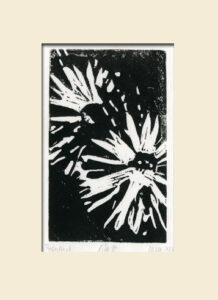 S/W Linoldruck Aster