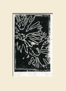 S/W Linoldruck Aster
