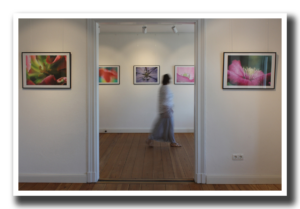 Eine Ausstellungsbesucherin geht an gerhamten Blütenbildern vorbei