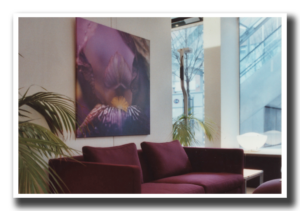 Großformatiges Blütenbild über einem Sofa